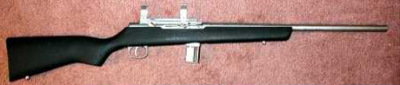 .22WMR Hunter rifle